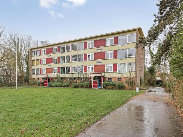 Oude Brinkweg 83, 9751RL, Haren GN, Groningen 9751RL