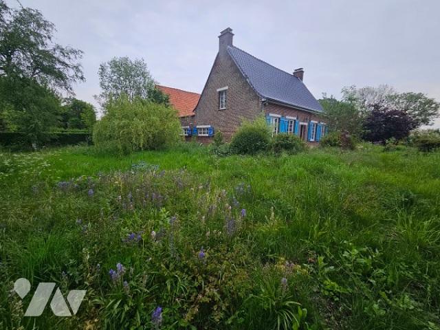Oudezeele Vente Maison 59