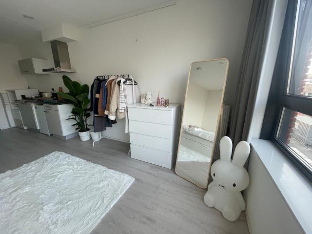 Oudlaan, Utrecht Amsterdam Apartments for Rent