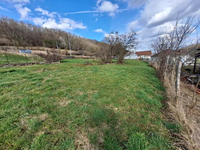 Ougney Douvot Vente Terrain 25