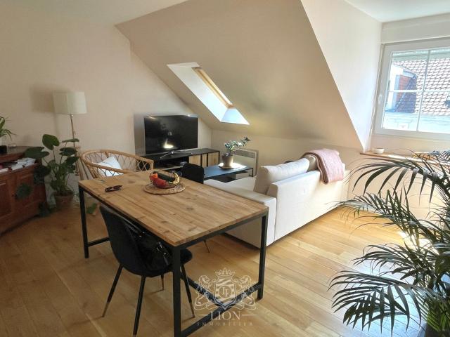 OUI Vieux Lille type 2 non meublé