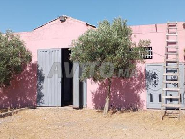 Oulad Abbou, Qalam, Berrechid