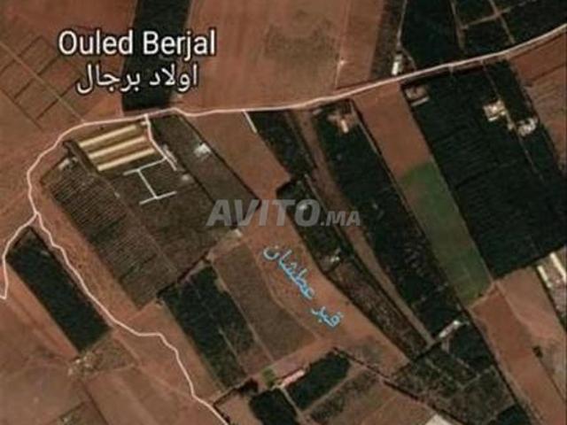 Ouled Berjal Kénitra