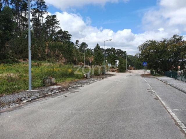 Ourém Ourém 103562410