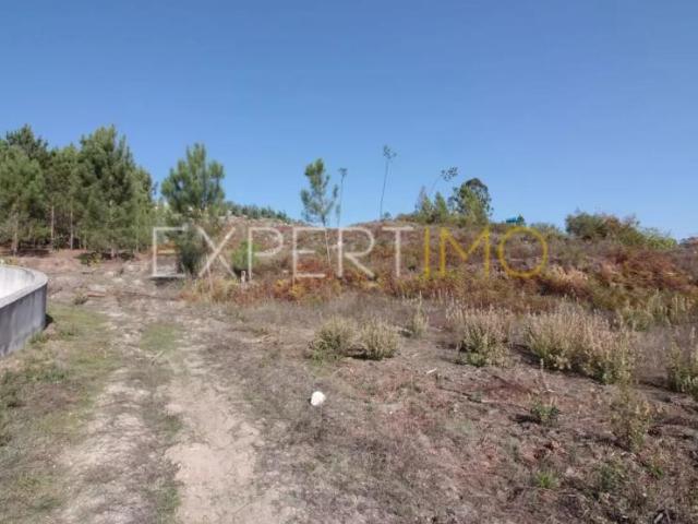 Ourém Santarém 91598508