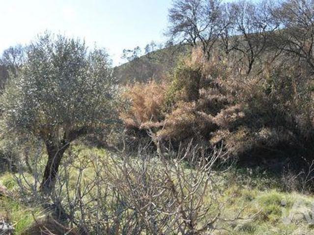 Ourem Santarem 102474675