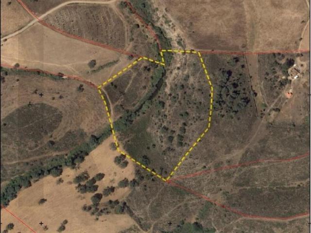 Ourique Beja 98931224