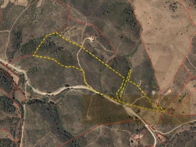 Ourique Beja 98931226