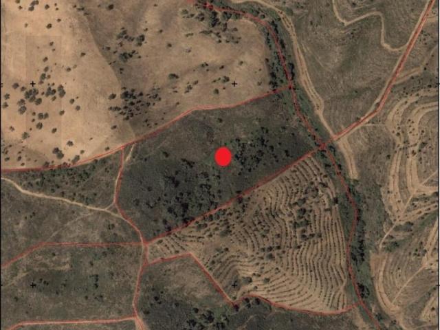 Ourique Beja 98931228