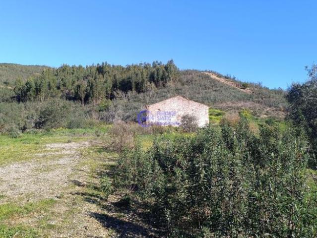 Ourique Beja 99693169