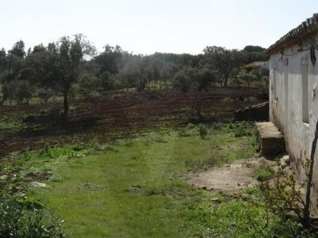 Ourique Beja LS95480993