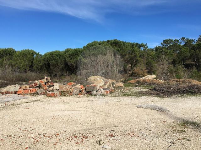 Outros Comercial à venda em Coimbra