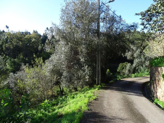 Outros Comercial à venda em Coimbra