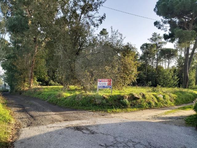 Outros Comercial à venda em Santa Comba Dão