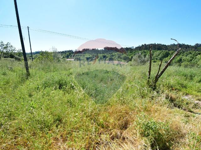 Outros Habitação à venda em Tábua