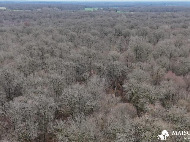 Ouzouer sur Trézée Vente Terrain 45