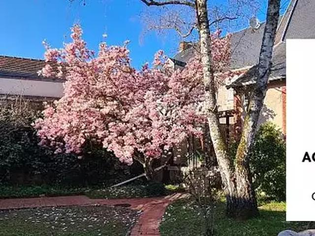 Ouzouer sur Loire 45570 Achat / Vente maison 4 pièces t4