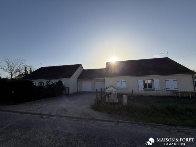 Ouzouer sur Loire Vente Immeuble 45