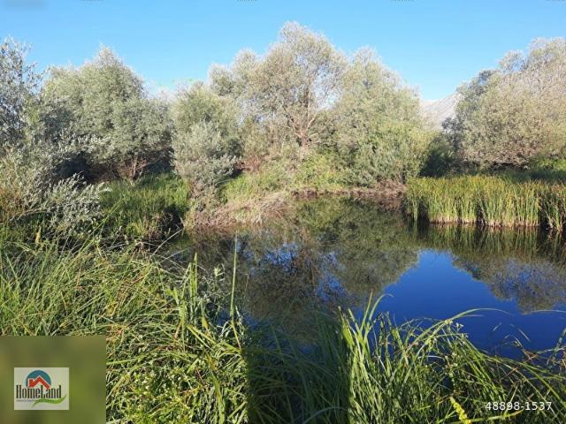 Ovacık Karayonca'da,510 m2 tek tapu arsa imarlı arsa