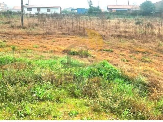 Ovar Ovar LS96615510