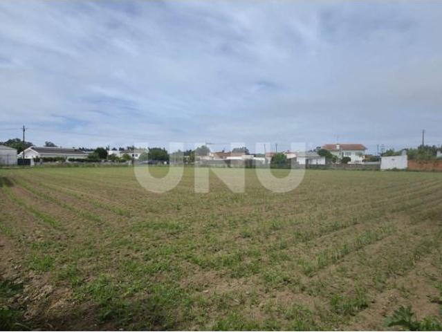 Ovar Ovar LS102760911