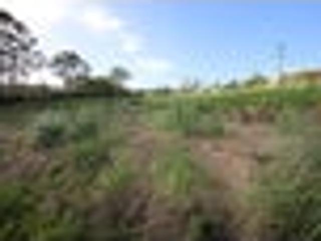 Over an Acre in Town