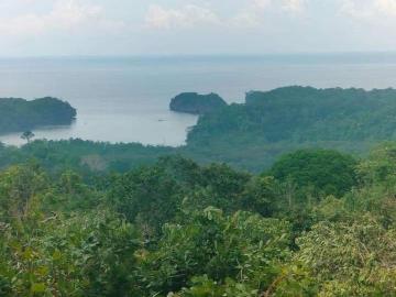 Overlooking Seaview Farm Lot in Nueva Valencia Guimaras 2Yrs to Pay [Lots ] April 2025 in Nueva Valencia, Guimaras for sale