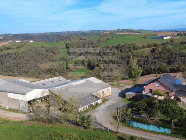 Ovins / Caprins 1m² Courris