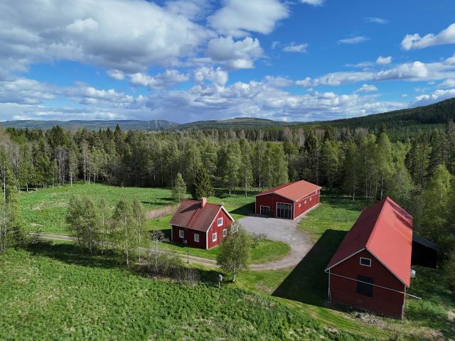 Övre Baggbo 441