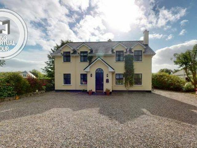 Oyster Catcher Oyster Catcher Stradbally East Kilcolgan Co Galway
