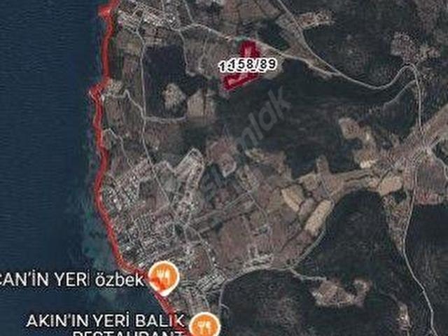 Özbek Uygulamada İmarlı Kooperatif Hisseli Konut Arsası
