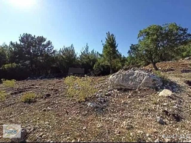 ÖZGÜR EMLAK 'tan GÜZÖRENDE 2010m2 MANZARALI ARAZİ