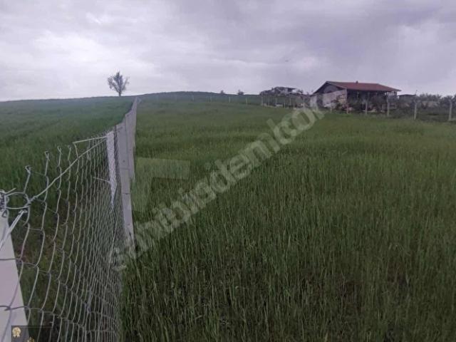 ÖZGÜVEN EMLAK ' TAN KAVAKLI DA FIRSAT TAPULU ARSA TELLE ÇEVRİLİ