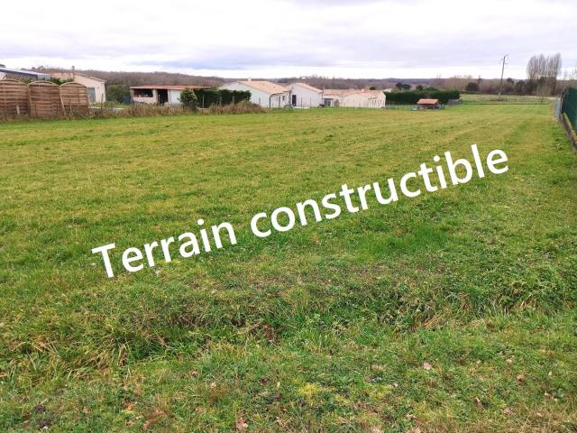 Ozillac Vente Terrain 17