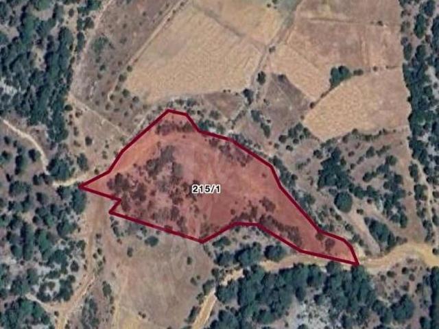 Özlüce Mahalleside 15 562 m2 Satılık Tarla