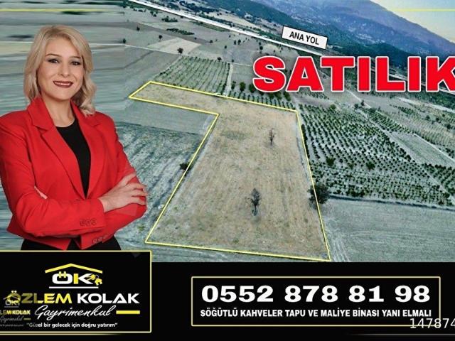 !ÖZLEM KOLAK GAYRİMENKULDEN! SATILIK FIRSAT TARLA!