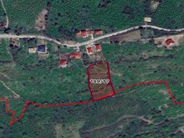 ÇÖZÜM EMLAKTAN ORDU PERŞEMBE SARAY MAH.SATILIK FINDIK BAHÇESİ