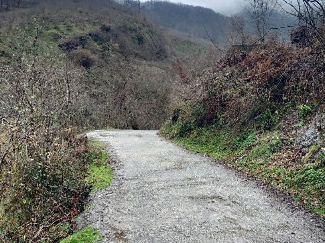 ÇÖZÜM EMLAKTAN PERSEMBE SARAY MAHALLESİNDE 6297 M2 ARSA