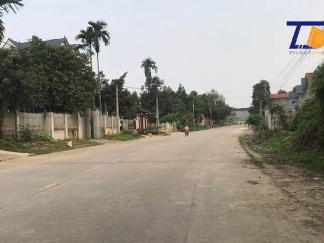 Đẹp miễn chê cần bán đất Thanh Sơn Phú Thọ vị trí đẹp 250m2 cần bán gấp
