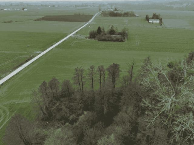 Płocki Pow, Słupno Gm, Miszewko Strzałkowskie