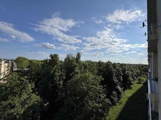 Płakałem jak kłułem. Nowy prąd, nowe piony i 62m²