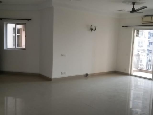 P Block 3 Bedroom 2655 Sq. Ft. Builder Floor in Sector 51 Gurgaon Listing ID: #9918