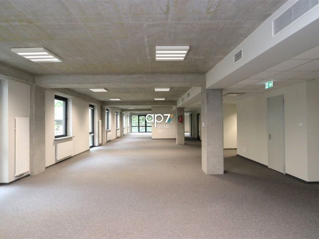 Pędzichów 762,66 m², Kraków