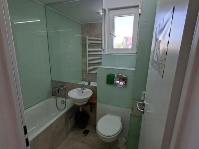 P.ta Domenii Grivita Vila 2 etaje la 3000 euro/luna