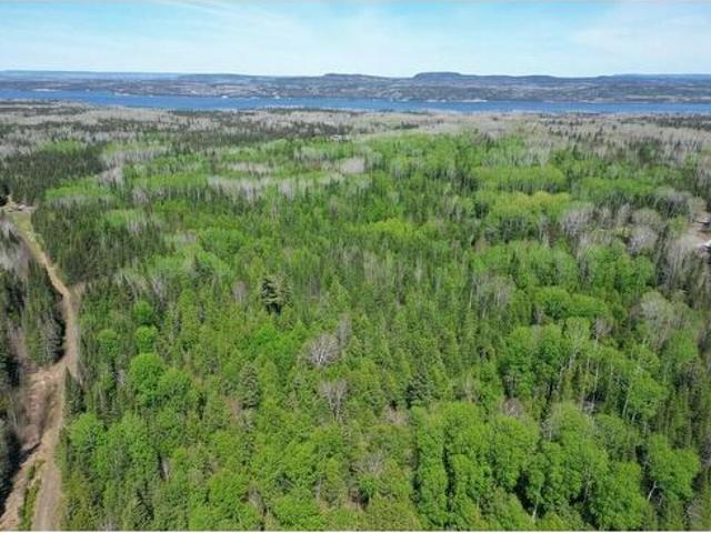 Pcl 19519 Cameron Falls Road, Nipigon, ON, P0T 2J0 vacant land for sale | Listing ID TB2601 | Royal LePage