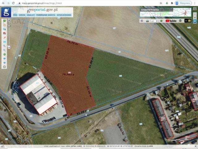 Pałucka 8 000 m², Gniezno
