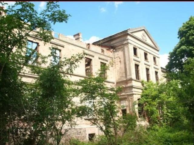 Pałac w Wierzbięcinie 574 m2 z parkiem i historią