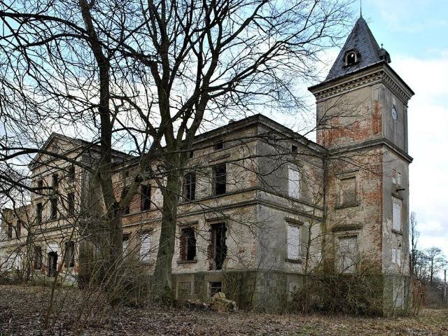 Pałac w Wierzbięcinie 574 m2, zabytkowy, park, 1,8 ha