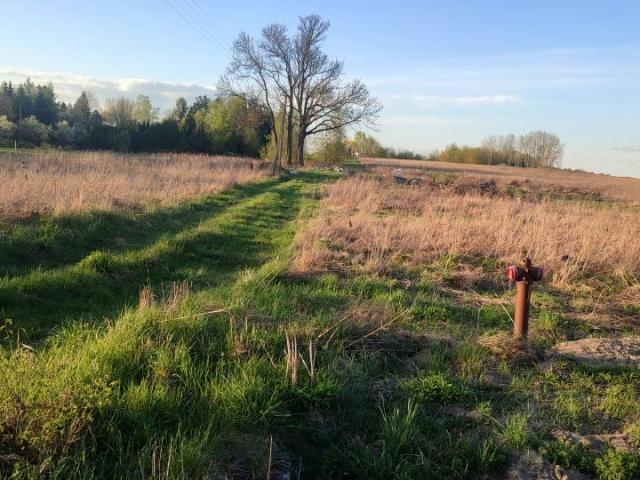 Pałacowa 800 m², Stok Lacki