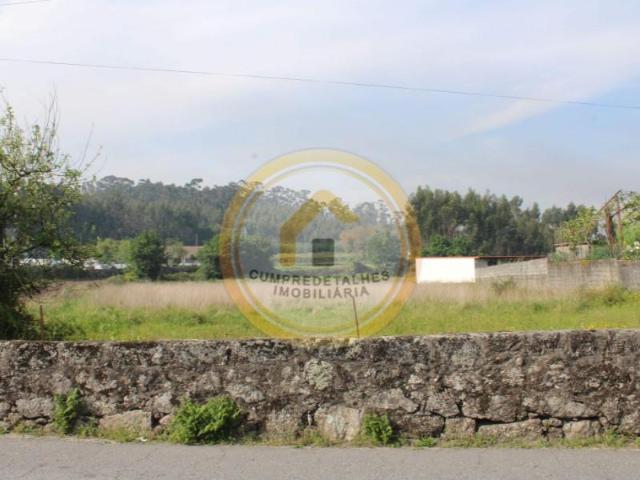 Paços de Ferreira Paços de Ferreira 97125300